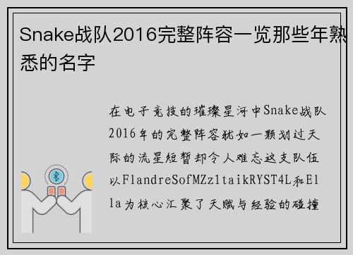 Snake战队2016完整阵容一览那些年熟悉的名字